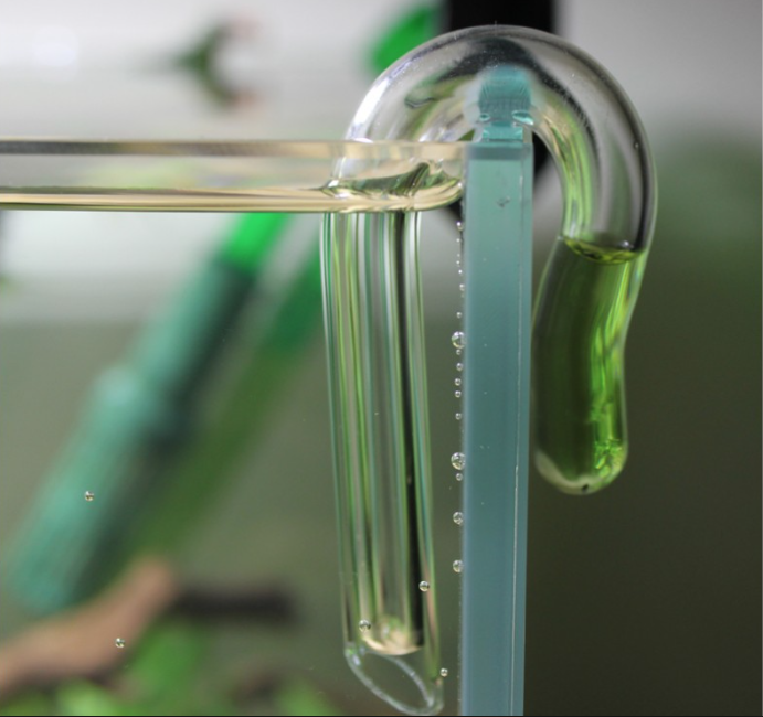 Measuring level of CO2 in your planted tank