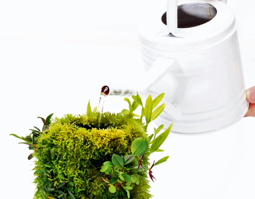 MAKE&KEEP ‘TERRA BASE’