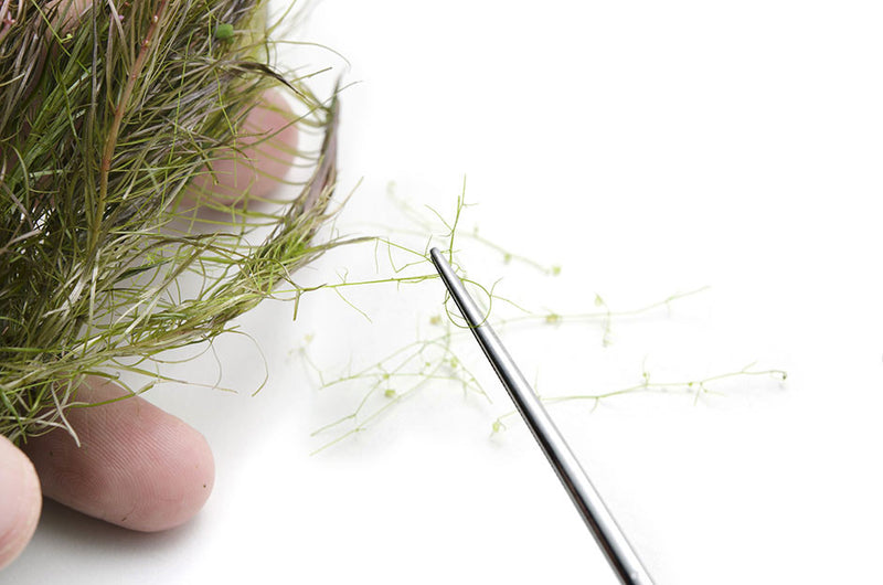 What's nasty that comes with the plants?