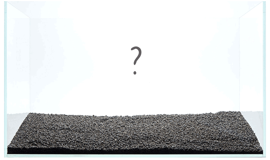 Aquascaping with Driftwood