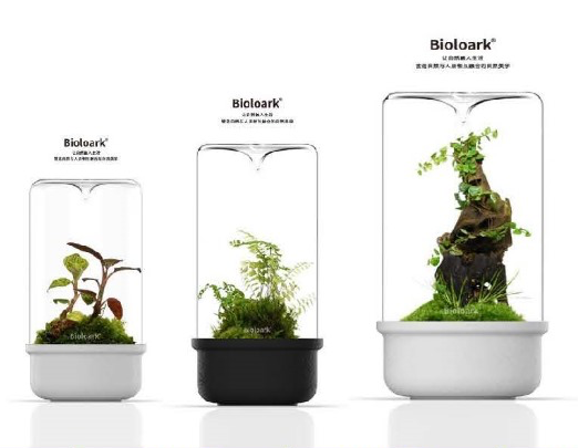 BIOLOARK LED Glass Bio Bottle MH Series – Green Chapter