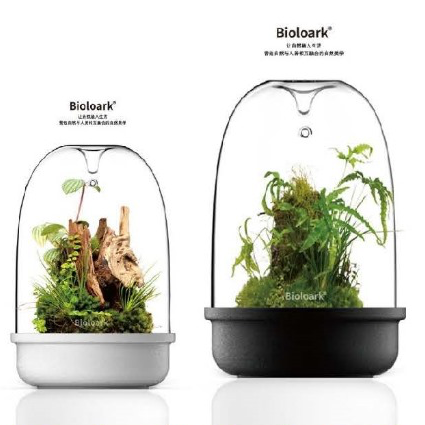 BIOLOARK LED Glass Bio Bottle MQ Series – Green Chapter