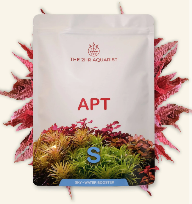 2HR AQUARIST APT SKY