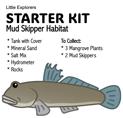 STARTER KIT - Mud Skipper Habitat