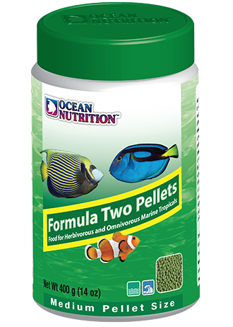 OCEAN NUTRITION Formula Two Pellets (Medium / 400g)