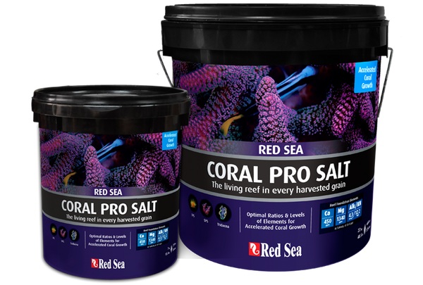 Coral-Pro-Salt_grande.png?v=