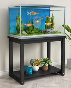 EDENS GARDEN Tank Stand FORTE