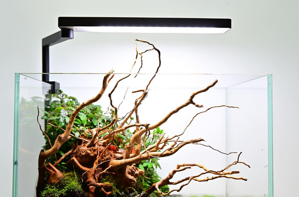 CHIHIROS LED C 2 (WHITE / Light for Nano Tanks)