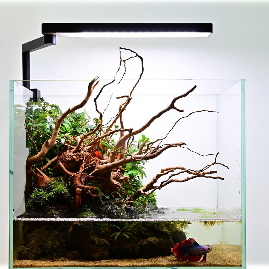 CHIHIROS LED C 2 (WHITE / Light for Nano Tanks)