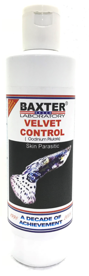 BAXTER (AQUA) Velvet Control ( Oodinium Pilularis ) Skin Parasitic