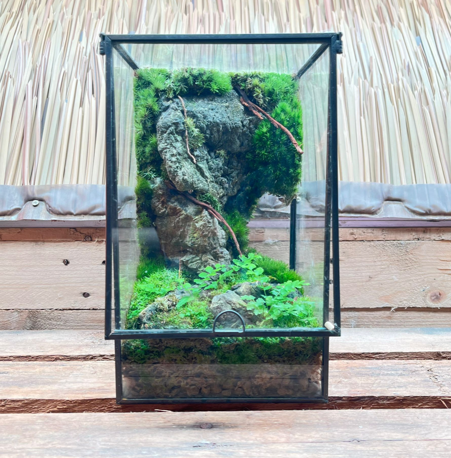 CUSTOM DESIGN Terrarium (Geometric Front Flap / 15x15x25cm)