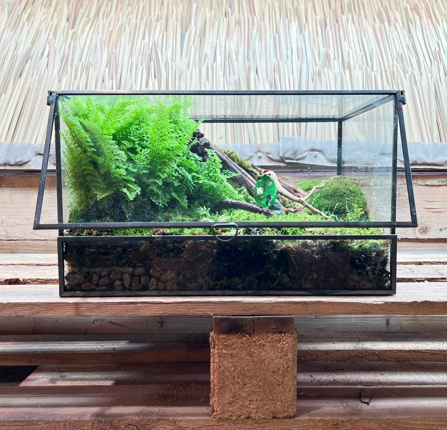 CUSTOM DESIGN Terrarium (Geometric Front Flap / 30x24x18cm)