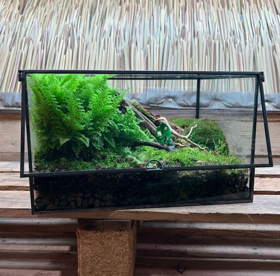 CUSTOM DESIGN Terrarium (Geometric Front Flap / 30x24x18cm)