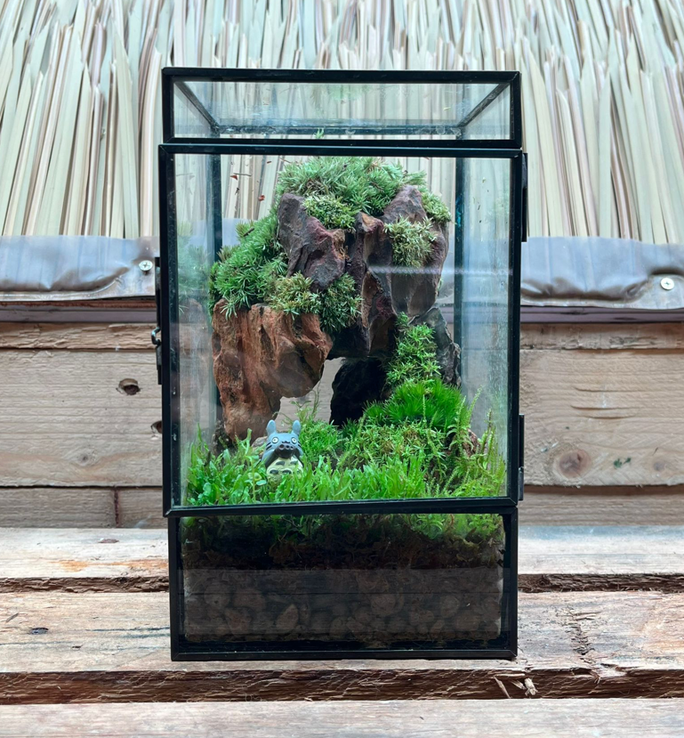 CUSTOM DESIGN Terrarium (Geometric Side Flap / 12x12x20cm)