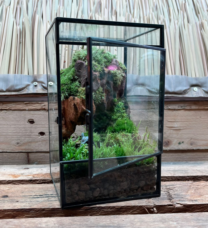 CUSTOM DESIGN Terrarium (Geometric Side Flap / 12x12x20cm)