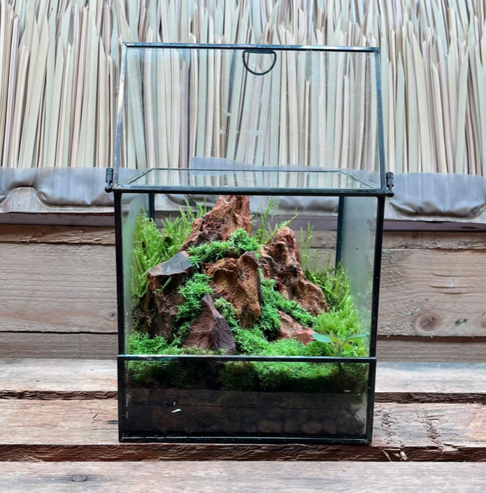 CUSTOM DESIGN Terrarium (Geometric Front Flap / 16x16x16cm)