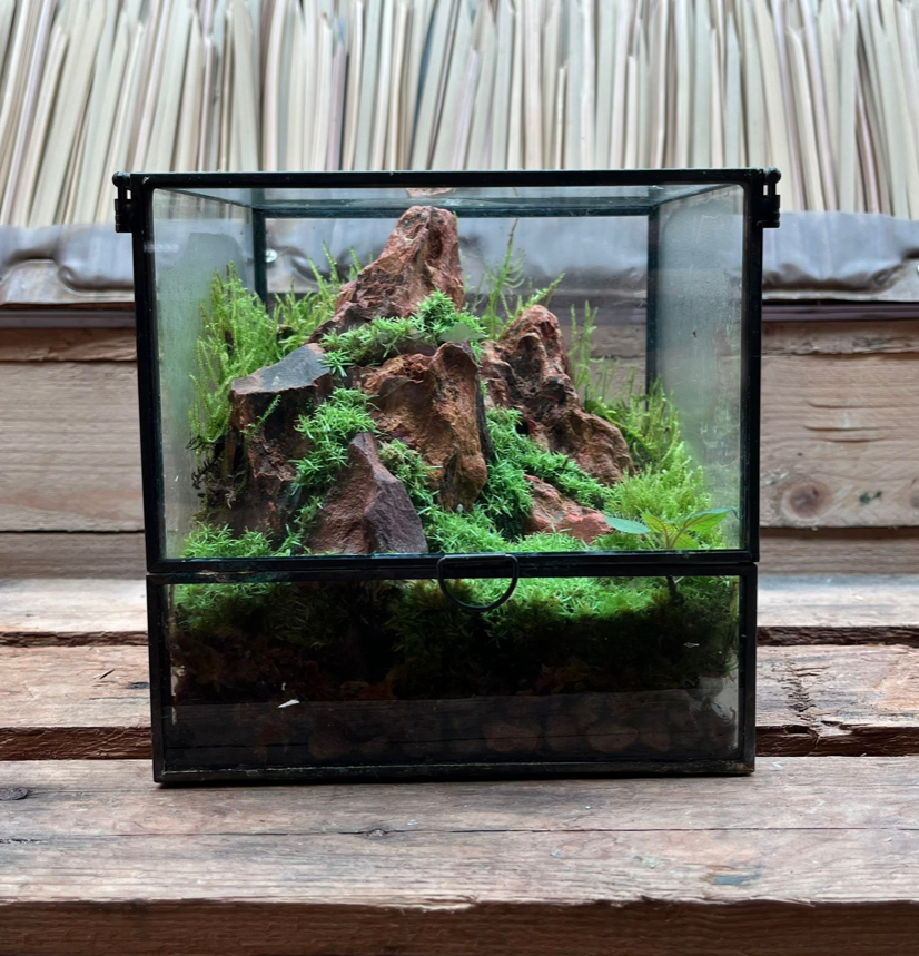 CUSTOM DESIGN Terrarium (Geometric Front Flap / 16x16x16cm)