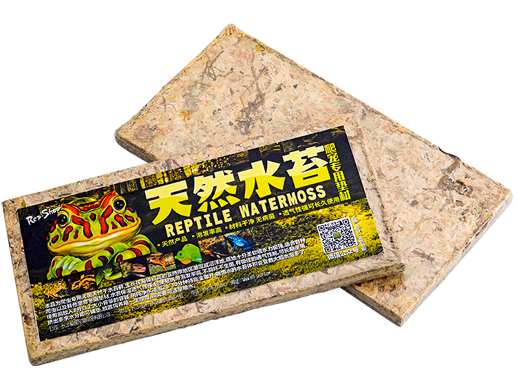 REPSHOP Reptile Water Moss (100g)
