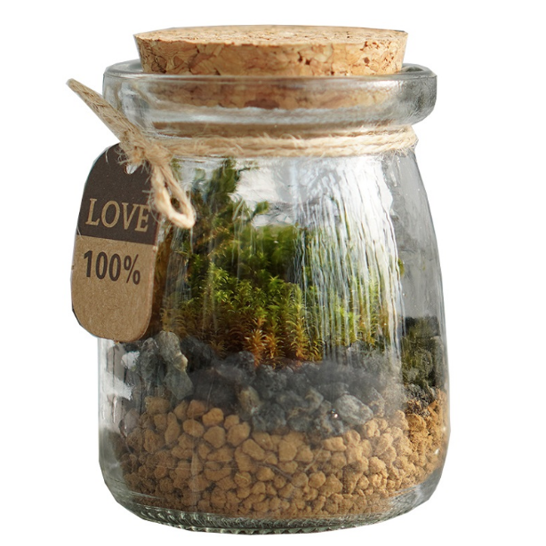DOORGIFT TERRARIUMS Mini Jar Pack (D6.5 x H9cm / 100 Sets)