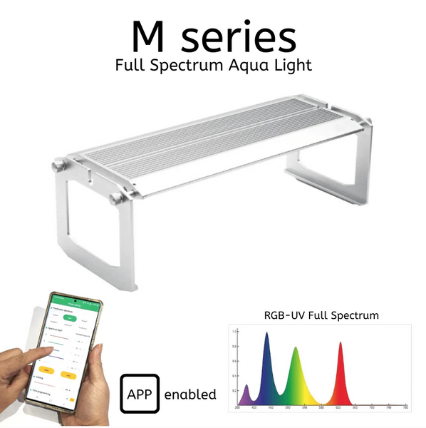 WEEK AQUA M Series (All Purpose) – Green Chapter