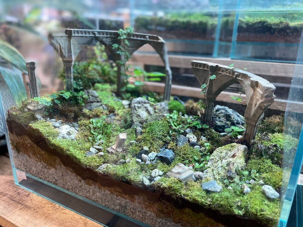 CUSTOM DESIGN Terrarium B300 (Sky Box / 36x22x26cm)