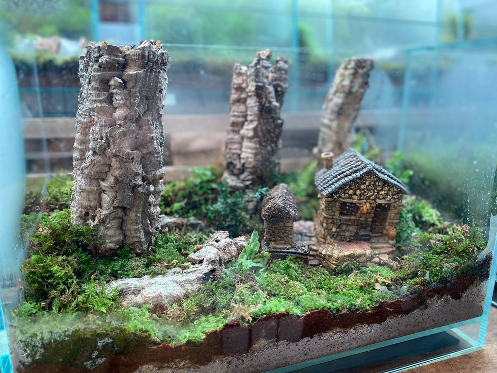 CUSTOM DESIGN Terrarium A250 (Sky Box / 36x22x26cm)