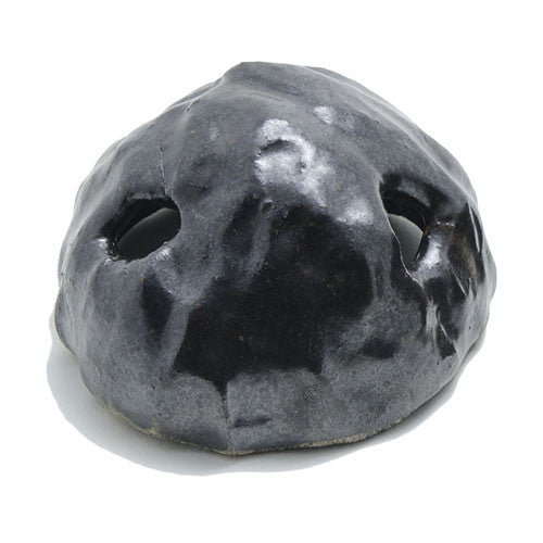 BorneoWild Shrimp Cave (S)