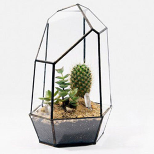 TERRA POTS Geometric Terrarium #10 (with Door)
