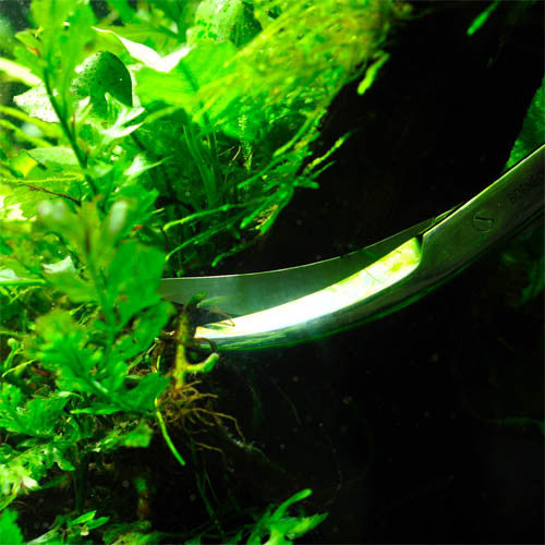 BorneoWild Rhino Cutters (27cm)