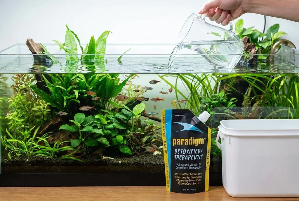 Are All Aquarium Water Conditioners Basically the Same?