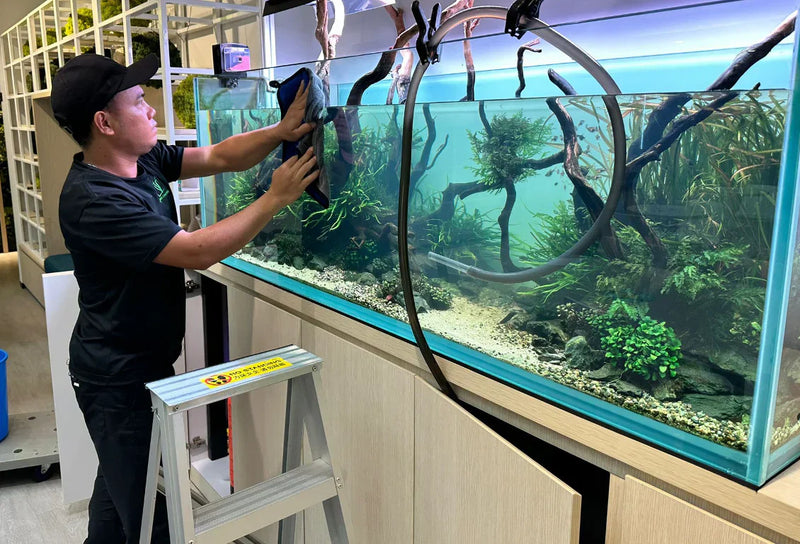 Aquarium Maintenance Checklist: What You Should Do and When