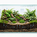How Water Really Moves Inside Your Terrarium
