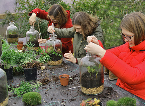Learning Through Play: How Terrarium and Plant Workshops Promote Kids’ Development