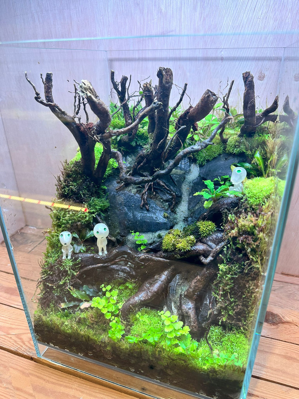 DIORAMA TERRARIUM - Forest Spirit (Skybox 25x25x35cm)
