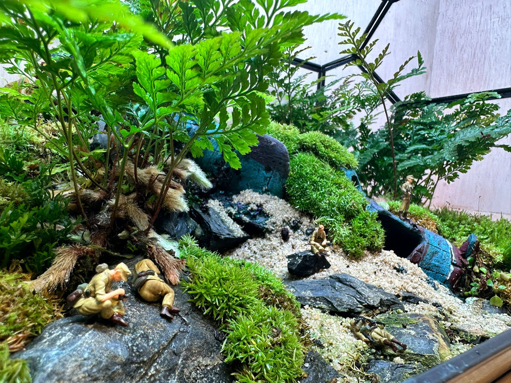 DIORAMA TERRARIUM - Plane Wreck  (Geometric)