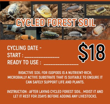 EDENS GARDEN Cycled Forest Soil (For Isopod)