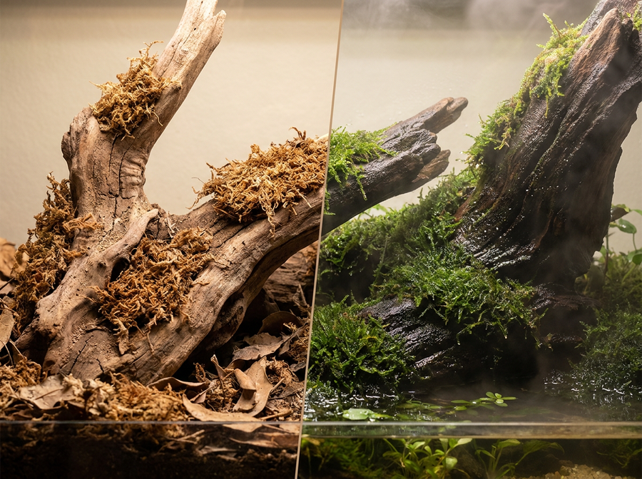 Living Moisture Pathways