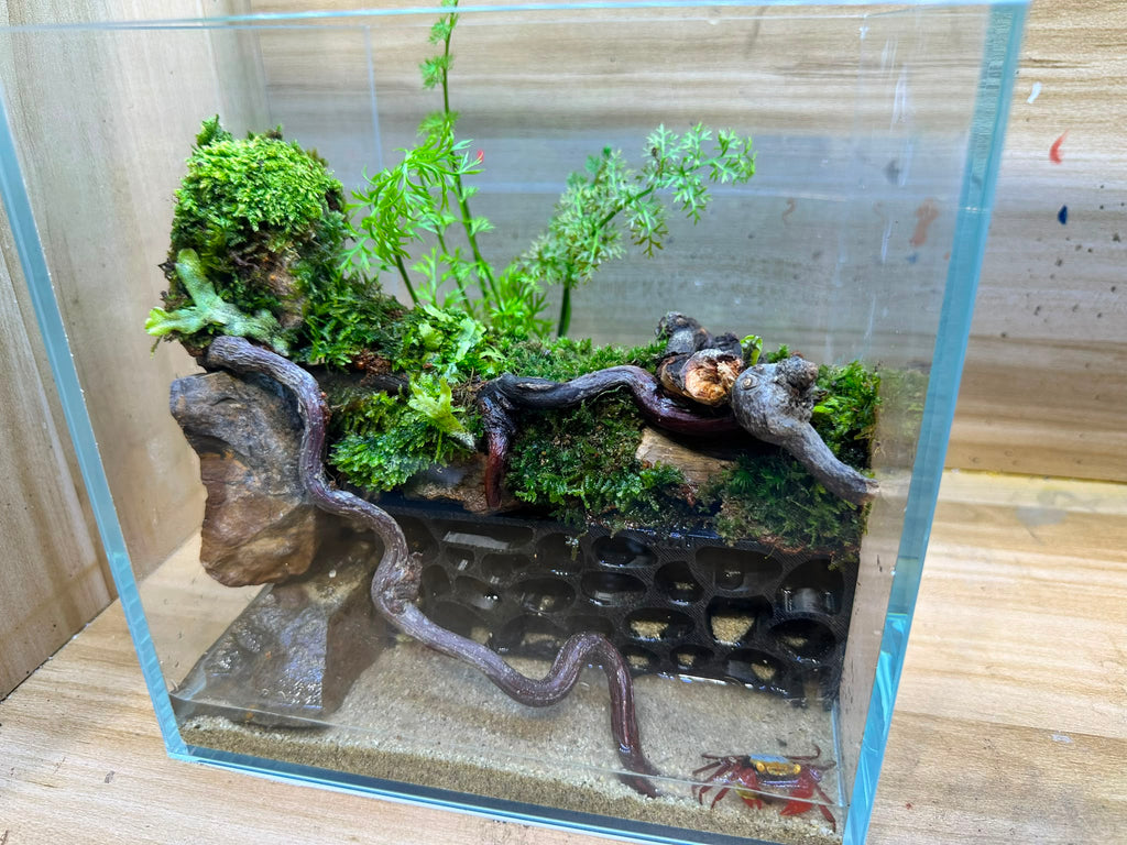 Mini Critter Habitat Terrarium Workshop