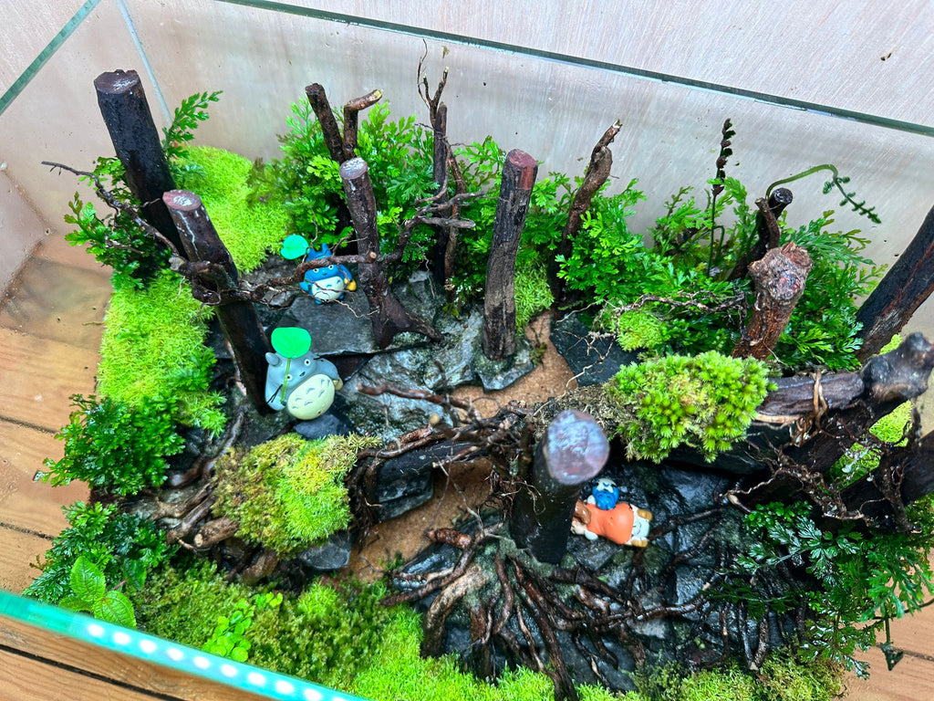 DIORAMA TERRARIUM - Napping in the Forest  (Skybox 36x22x26cm)