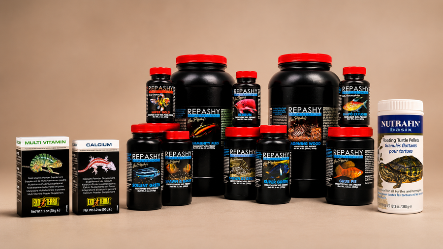 Food & Supplements