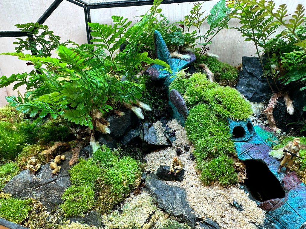 DIORAMA TERRARIUM - Plane Wreck  (Geometric)