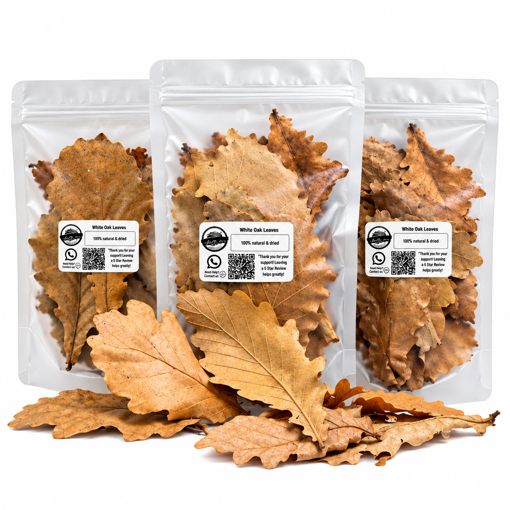 ISOBRO White Oak Leaves (10pc)