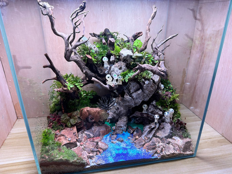 DIORAMA TERRARIUM - Shishigami's Forest (45x30x45cm)
