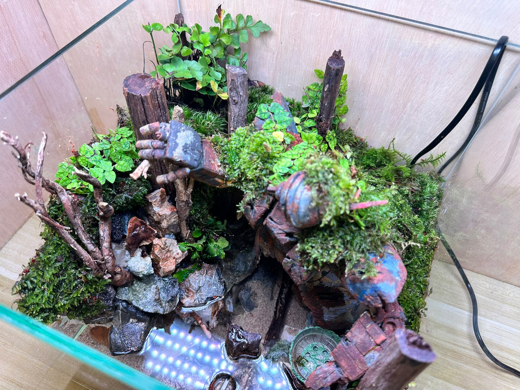 GUNPLA PALUDARIUM - Rusty Zeong (30 x 30 x 30cm)