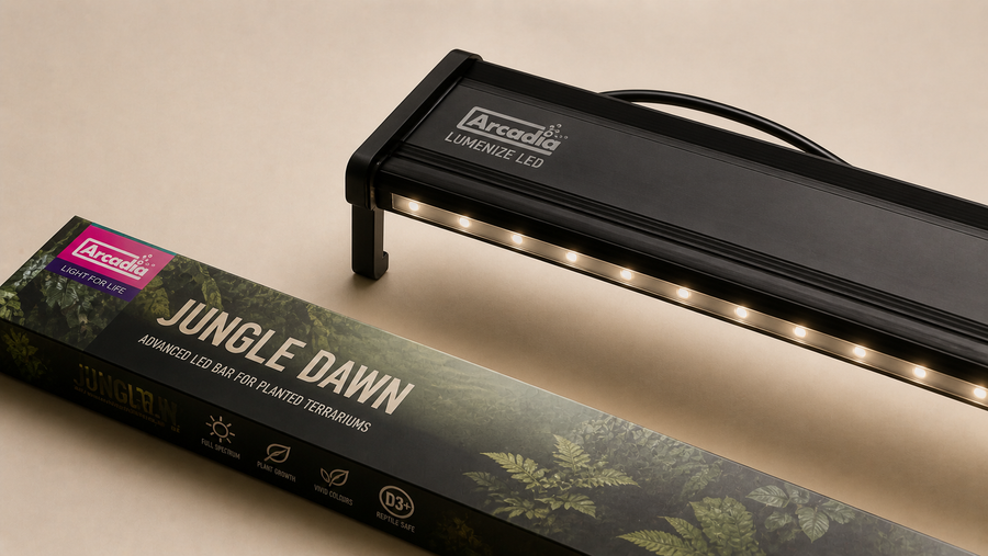 Lighting System