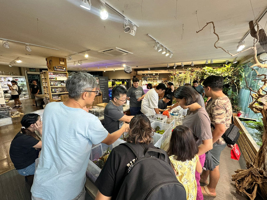 Jungle Jewel Meet