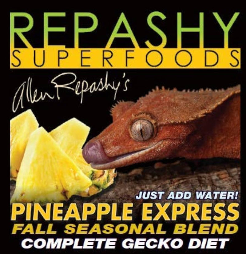 REPASHY Crested Gecko Diet Pineapple Express (3oz)