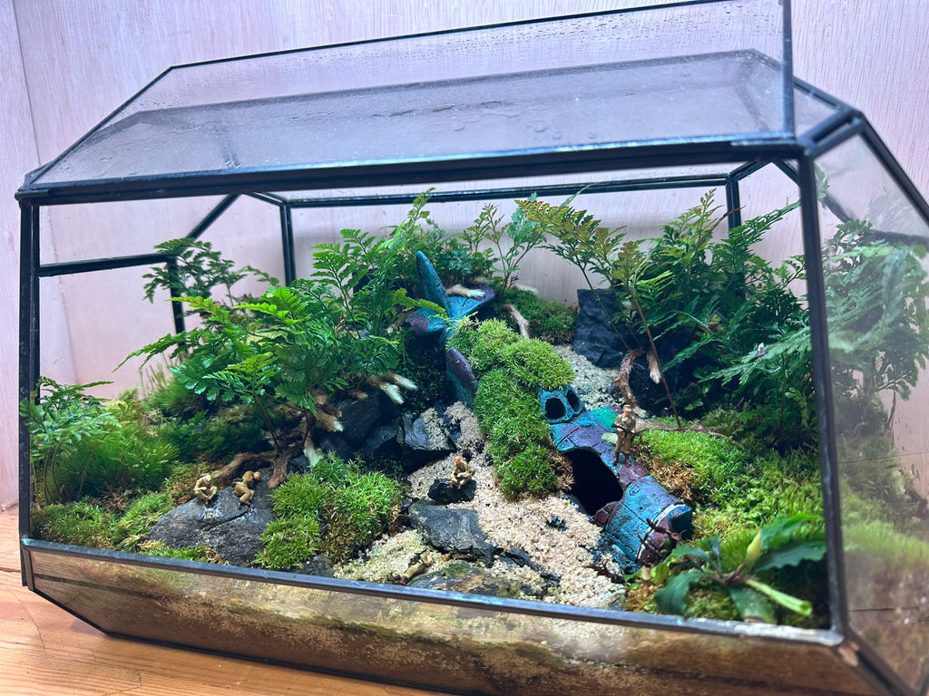 DIORAMA TERRARIUM - Plane Wreck  (Geometric)
