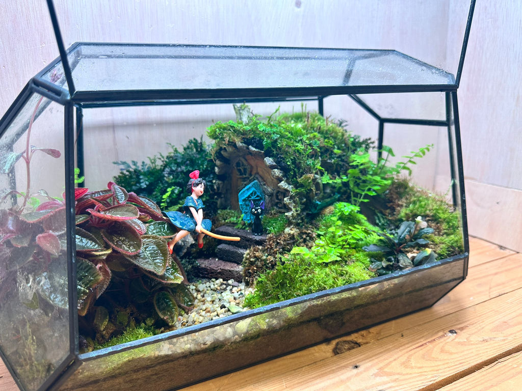DIORAMA TERRARIUM - Taking Off (Geometric)