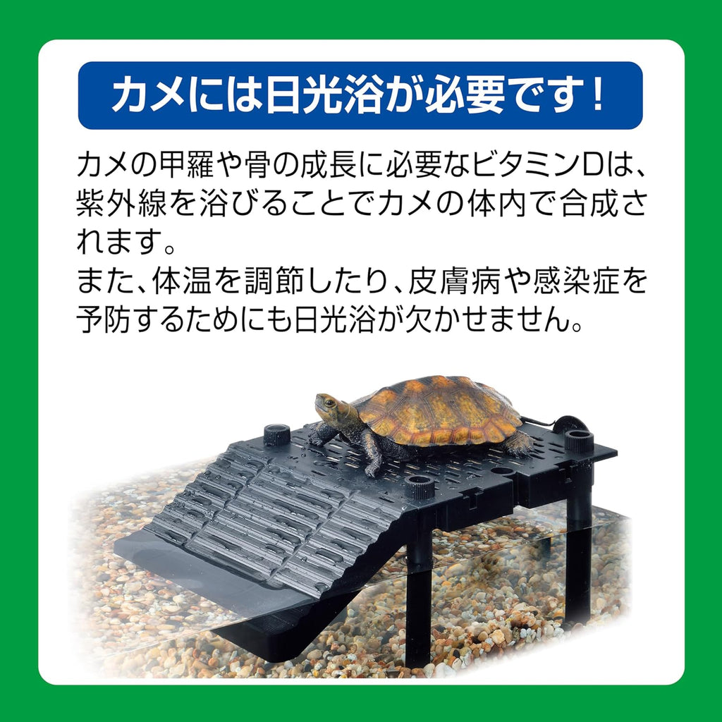 GEX Turtle Island Loft Type